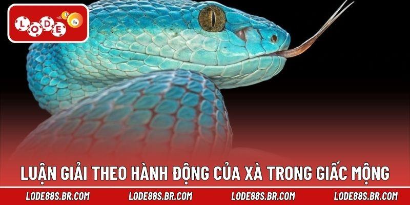 Luận giải theo hành động của xà trong giấc mộng